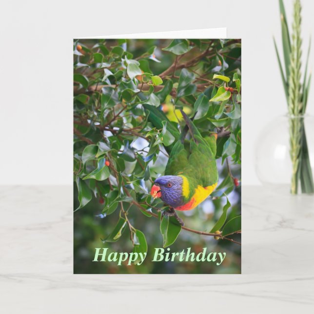 Rainbow Lorikeet Happy Birthday Greeting Card (Front)