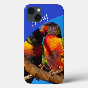Rainbow Lorikeet IPhone 8/7 case