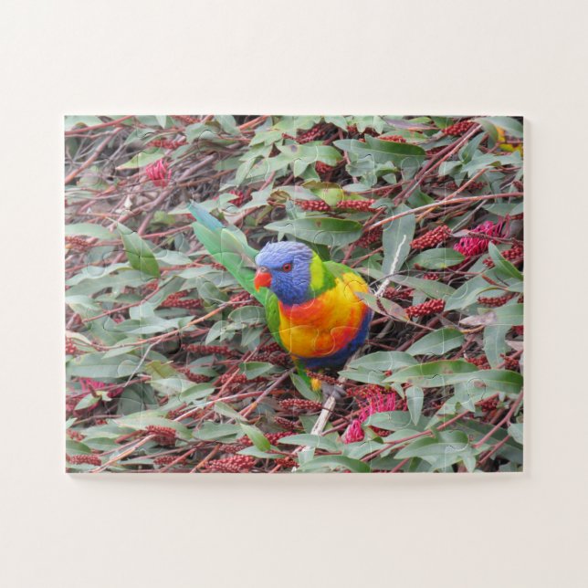 rainbow lorikeet jigsaw puzzle (Horizontal)