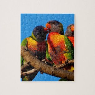 Rainbow Lorikeet jigsaw puzzle