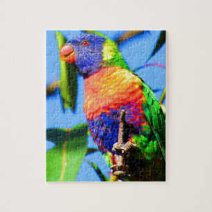 rainbow lorikeet jigsaw puzzle