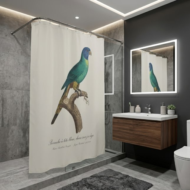 Rainbow lorikeet juvenile Trichoglossus moluccanus (Perruche a tete bleue / Rainbow lorikeet, juvenile. Shower Curtain)