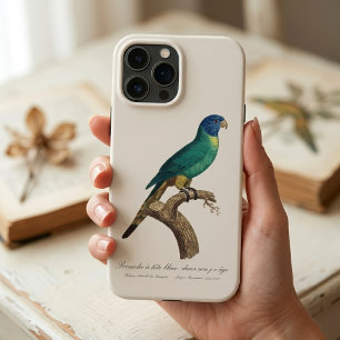 Rainbow lorikeet juvenile Trichoglossus moluccanus iPhone 13 Pro Max Case