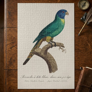 Rainbow lorikeet juvenile Trichoglossus moluccanus Jigsaw Puzzle