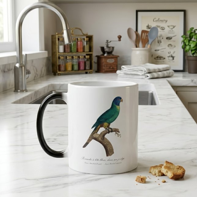 Rainbow lorikeet juvenile Trichoglossus moluccanus Magic Mug (Perruche a tete bleue / Rainbow lorikeet, juvenile. Color Morph Mug)