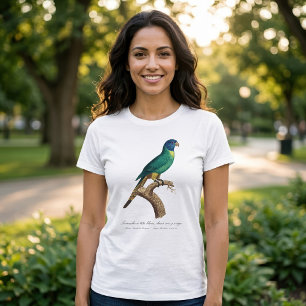 Rainbow lorikeet juvenile Trichoglossus moluccanus T-Shirt