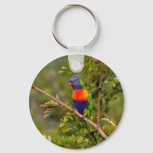 Rainbow lorikeet keychain
