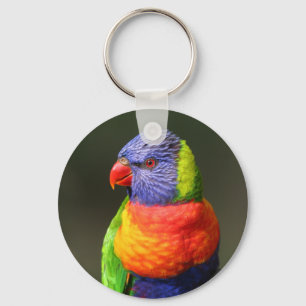 Rainbow Lorikeet Keychain