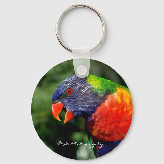 Rainbow Lorikeet Keychain (Front)