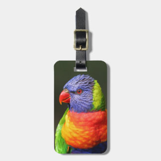 Rainbow Lorikeet Luggage Tag