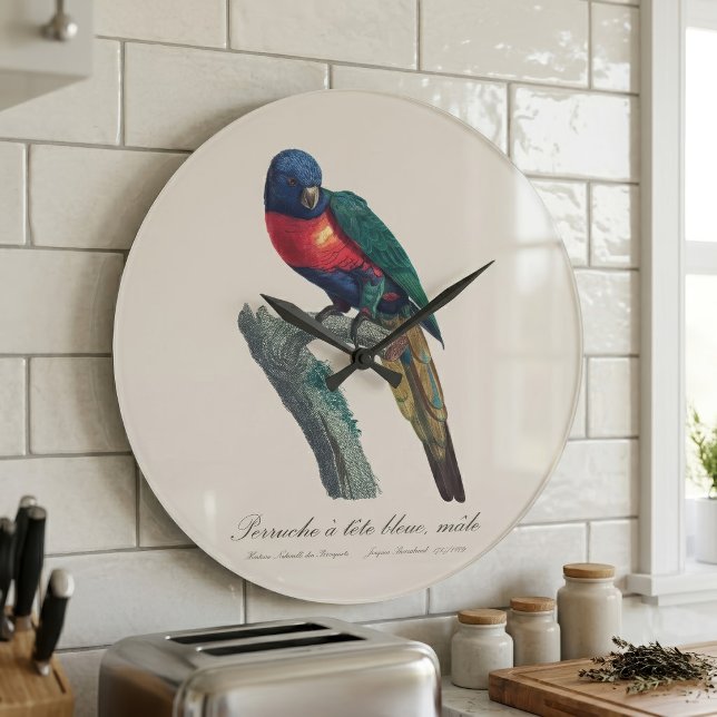 Rainbow Lorikeet Male, Trichoglossus Moluccanus Large Clock (Rainbow Lorikeet Male, Trichoglossus Moluccanus. Large Clock)