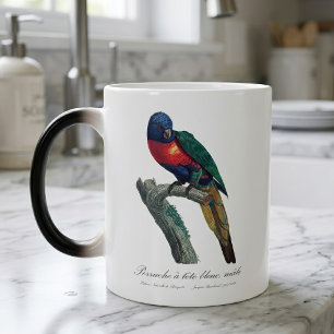 Rainbow Lorikeet Male, Trichoglossus Moluccanus Magic Mug