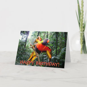 Rainbow lorikeet parrot customizable birthday card