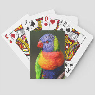 Rainbow Lorikeet Playing Cards