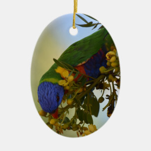 RAINBOW LORIKEET RURAL QUEENSLAND AUSTRALIA CERAMIC ORNAMENT