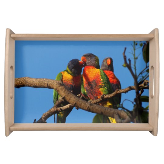 Rainbow Lorikeet serving tray