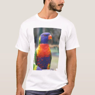 Rainbow Lorikeet (Trichoglossus haematodus 2 T-Shirt