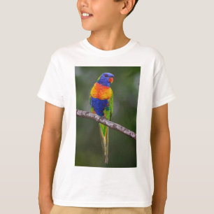 Rainbow Lorikeet Trichoglossus Haematodus Parrot T-Shirt