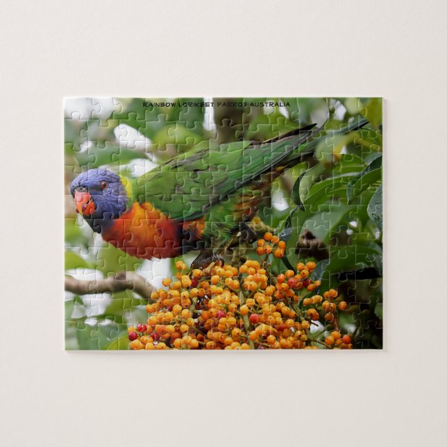 Rainbow Lorikeets Australia Jigsaw Puzzle (Horizontal)