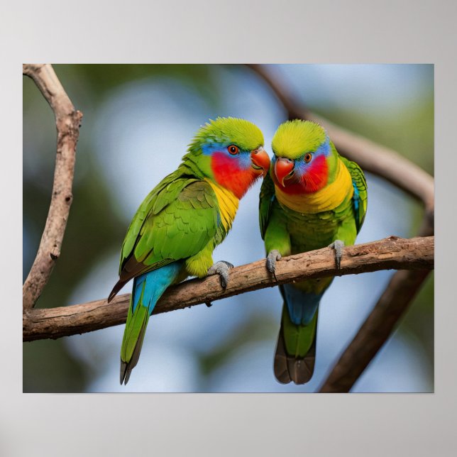 Rainbow Lorikeets Poster (Front)