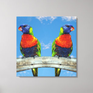 Rainbow lorikeets two perched on a branch canvas print