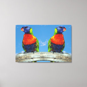Rainbow lorikeets two perched on a branch canvas print