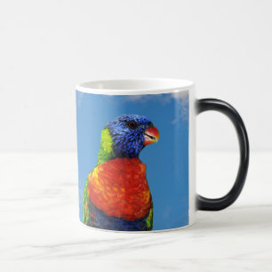 Rainbow lorikeets two perched on a branch magic mug