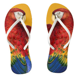 Rainbow Macaw Parrot Lover Bold and Summery Flip Flops