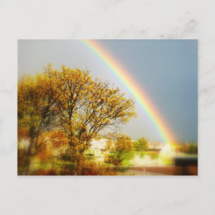 Rainbow Magic Postcard