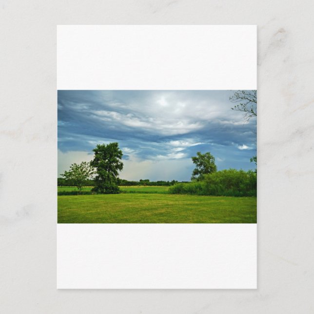 Rainbow Makers Postcard (Front)