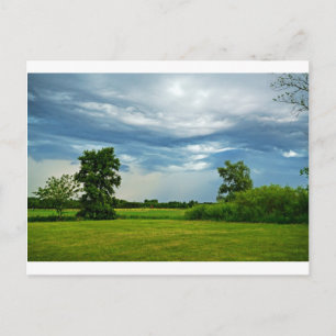 Rainbow Makers Postcard