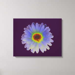 Rainbow Marigold Canvas Print