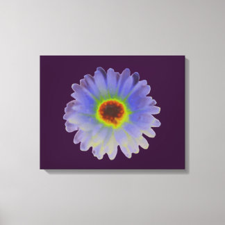 Rainbow Marigold Canvas Print