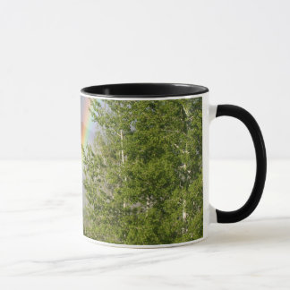 Rainbow Mug