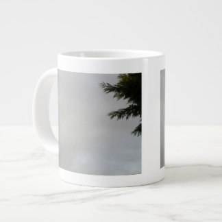 Rainbow Mug