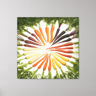 Rainbow Multicolored Carrots Square Canvas