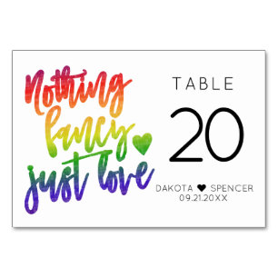 Rainbow Nothing Fancy Just Love   Casual Wedding Table Number