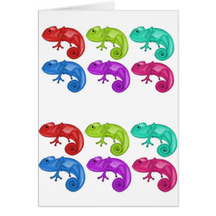 Rainbow of Chameleons