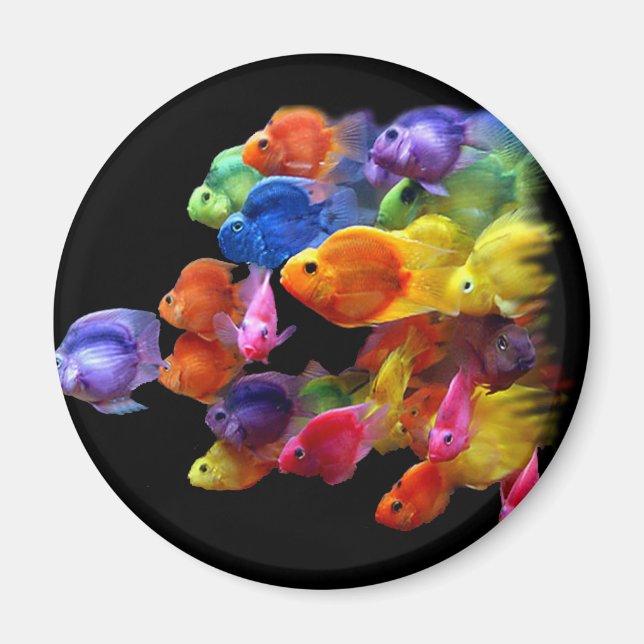 Rainbow of Parrotfish Magnet (Front)