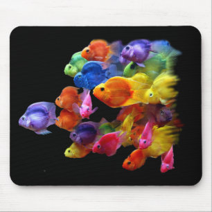 Rainbow of Parrotfish Mouse Pad