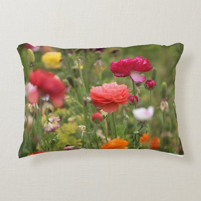 Rainbow of Ranunculus Accent Pillow (Front)