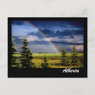 Rainbow On The Prairies Postcard