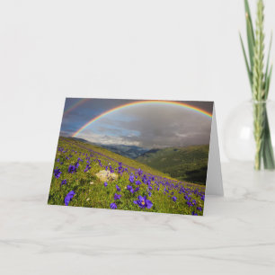 Rainbow Over A Flowering Meadow Card