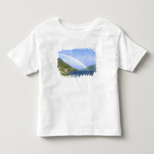 Rainbow over Hawea Lake, South Island, New Toddler T-shirt