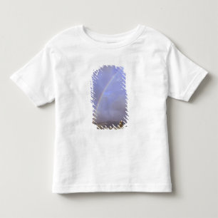 Rainbow over Honolulu, Hawaii, USA Toddler T-shirt