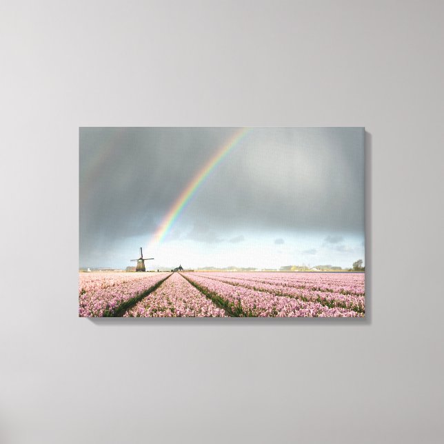 Rainbow over hyacinths and a windmill in Holland Canvas Print (Front)