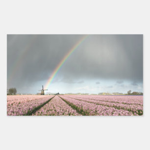 Rainbow over hyacinths and a windmill in Holland Sticker