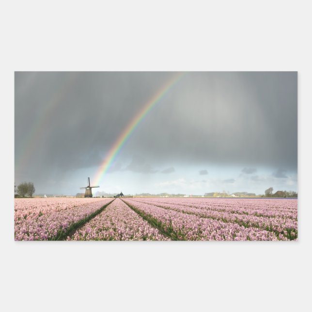 Rainbow over hyacinths and a windmill in Holland Sticker (Front)