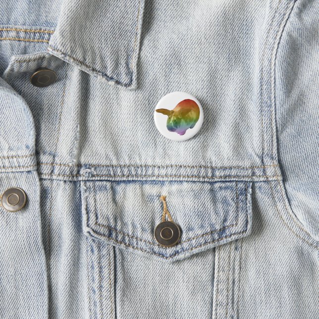 Rainbow Paddy Badge 1 Inch Round Button (In Situ)