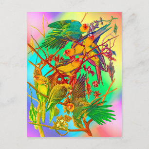 Rainbow Parrot Parade Postcard